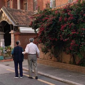 4444444在线观看免费高清电视剧
