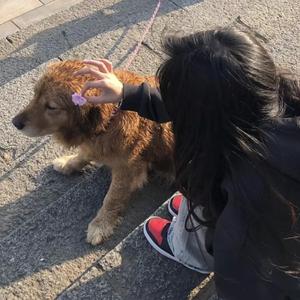 4444444在线观看免费高清电视剧
