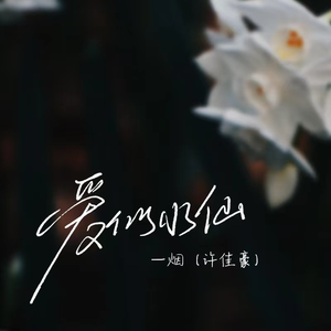 4444444在线观看免费高清电视剧
