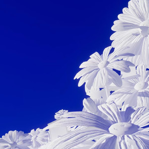 4444444在线观看免费高清电视剧
